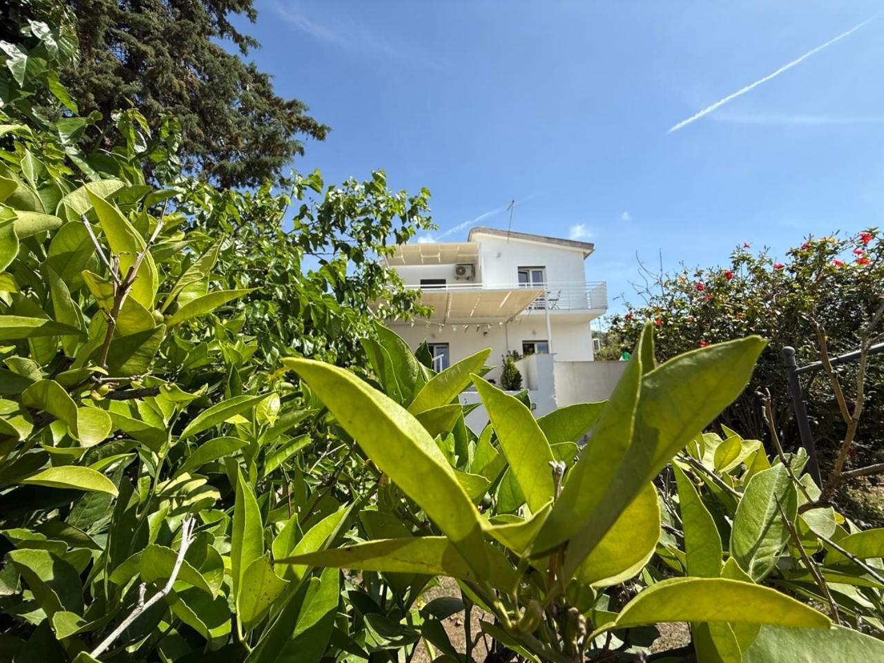 Terra Di Mare Guest House Agrigento Bagian luar foto